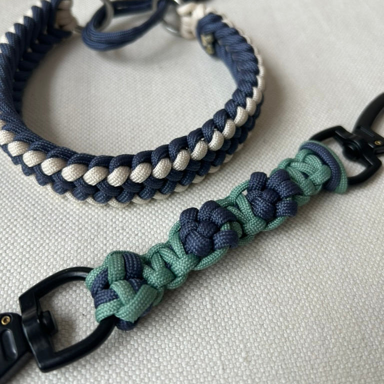 Safe Paws Connector