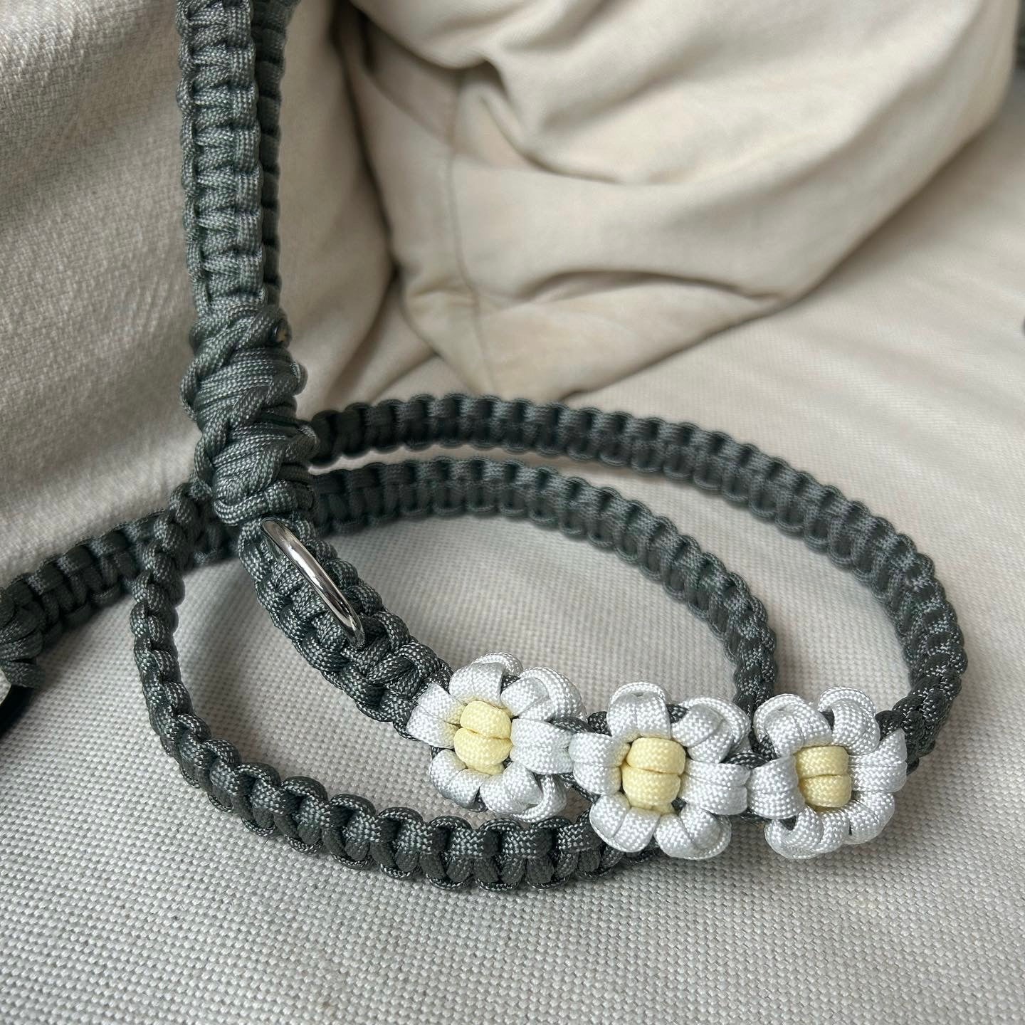 Paracord Leash